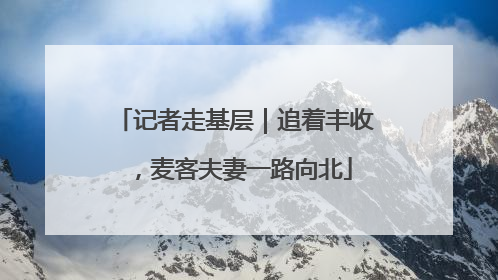 记者走基层｜追着丰收，麦客夫妻一路向北