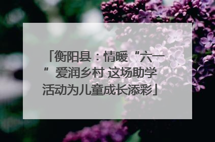 衡阳县：情暖“六一”爱润乡村 这场助学活动为儿童成长添彩