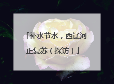 补水节水，西辽河正复苏（探访）