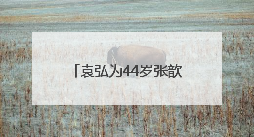 袁弘为44岁张歆艺庆生，称她为“我永远的小姑娘”