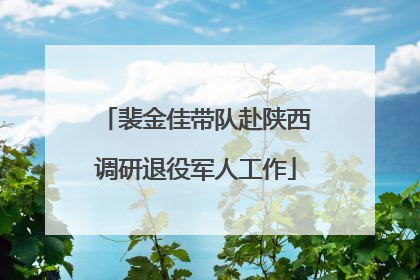裴金佳带队赴陕西调研退役军人工作