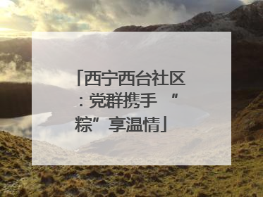 西宁西台社区：党群携手 “粽”享温情