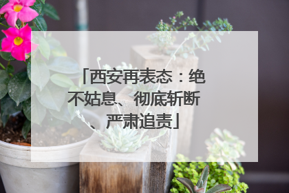 西安再表态：绝不姑息、彻底斩断、严肃追责