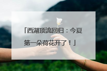 西湖顶流回归：今夏第一朵荷花开了！