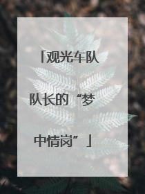 观光车队队长的“梦中情岗”