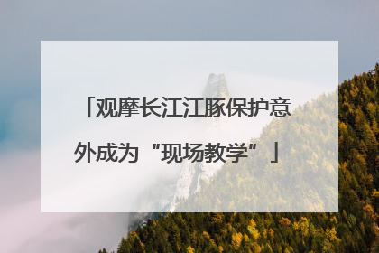 观摩长江江豚保护意外成为“现场教学”