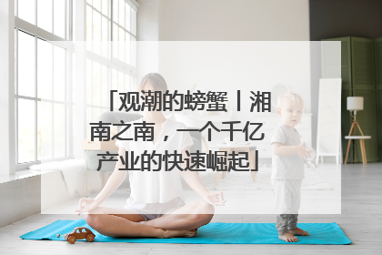 观潮的螃蟹丨湘南之南，一个千亿产业的快速崛起