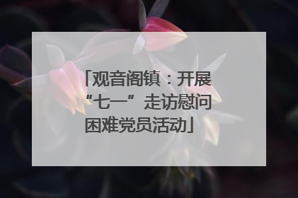 观音阁镇：开展“七一”走访慰问困难党员活动