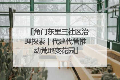 角门东里三社区治理探索｜代建代管推动荒地变花园