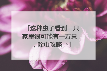 这种虫子看到一只家里很可能有一万只，除虫攻略→