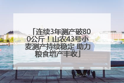连续3年测产破800公斤！山农43号小麦测产持续稳定 助力粮食增产丰收