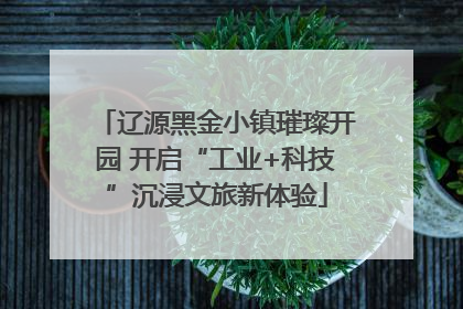 辽源黑金小镇璀璨开园 开启“工业+科技”沉浸文旅新体验