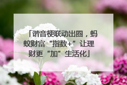 谐音梗联动出圈，蚂蚁财富“指数+”让理财更“加”生活化