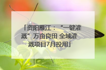 资阳雁江：“一键灌溉”万亩良田 全域灌溉项目7月投用