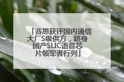 赛思获评国内通信大厂S级供方，跻身国产SLIC语音芯片领军者行列
