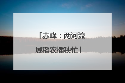 赤峰：两河流域稻农插秧忙