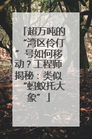 超万吨的“湾区伶仃”号如何移动？工程师揭秘：类似“蚂蚁托大象”