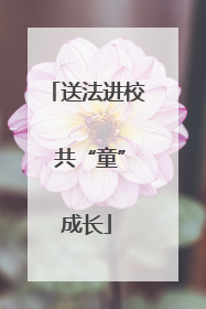 送法进校 共“童”成长