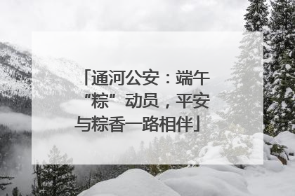 通河公安：端午“粽”动员，平安与粽香一路相伴