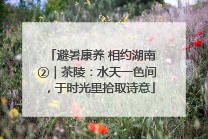避暑康养 相约湖南②｜茶陵：水天一色间，于时光里拾取诗意