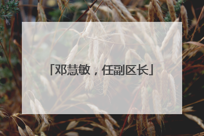 邓慧敏，任副区长