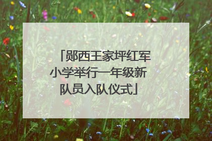 郧西王家坪红军小学举行一年级新队员入队仪式