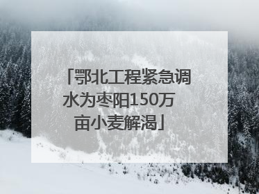 鄂北工程紧急调水为枣阳150万亩小麦解渴