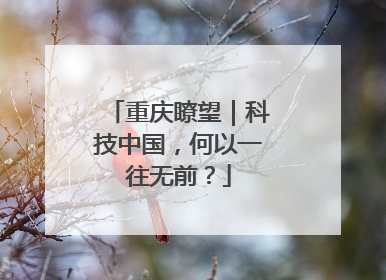 重庆瞭望｜科技中国，何以一往无前？