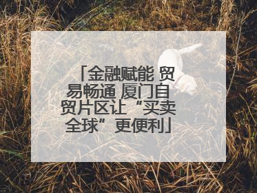 金融赋能 贸易畅通 厦门自贸片区让“买卖全球”更便利