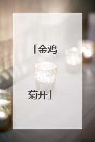 金鸡菊开