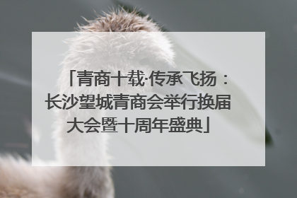 青商十载·传承飞扬：长沙望城青商会举行换届大会暨十周年盛典