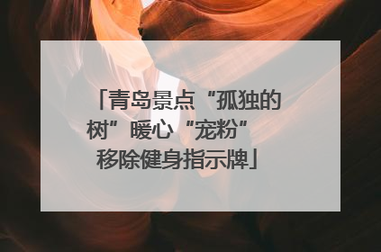 青岛景点“孤独的树”暖心“宠粉” 移除健身指示牌