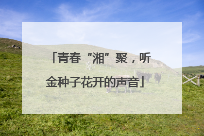 青春“湘”聚，听金种子花开的声音