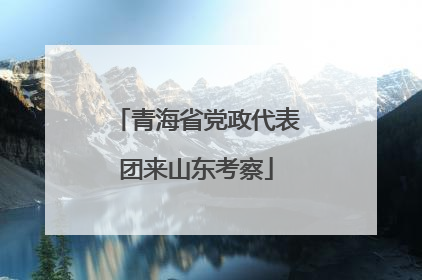 青海省党政代表团来山东考察