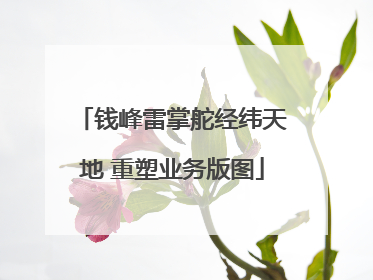 钱峰雷掌舵经纬天地 重塑业务版图