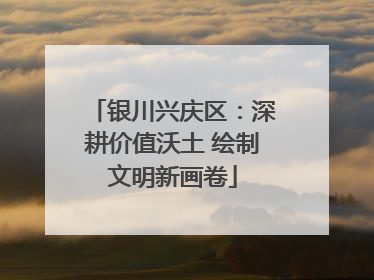 银川兴庆区：深耕价值沃土 绘制文明新画卷