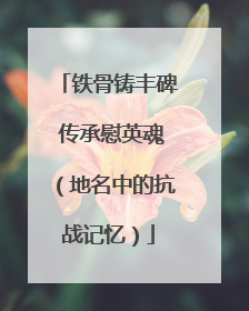 铁骨铸丰碑 传承慰英魂（地名中的抗战记忆）
