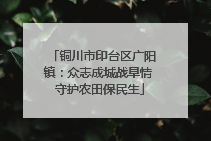 铜川市印台区广阳镇：众志成城战旱情 守护农田保民生