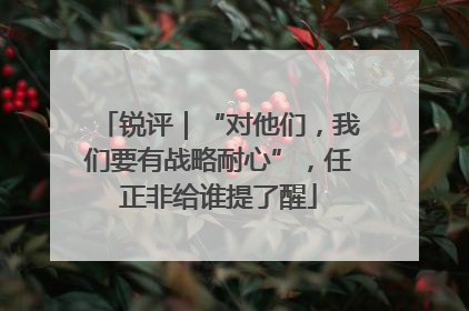 锐评｜“对他们，我们要有战略耐心”，任正非给谁提了醒