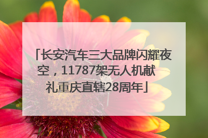 长安汽车三大品牌闪耀夜空，11787架无人机献礼重庆直辖28周年