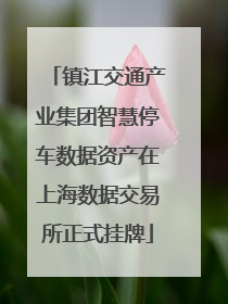 镇江交通产业集团智慧停车数据资产在上海数据交易所正式挂牌