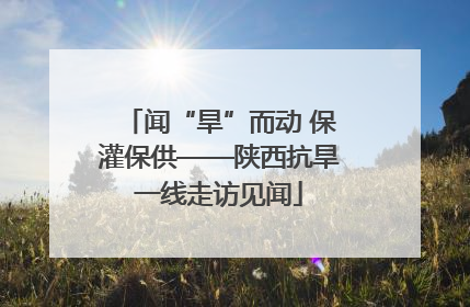 闻“旱”而动 保灌保供——陕西抗旱一线走访见闻
