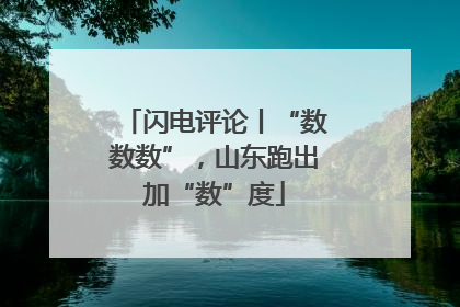 闪电评论丨“数数数”，山东跑出加“数”度