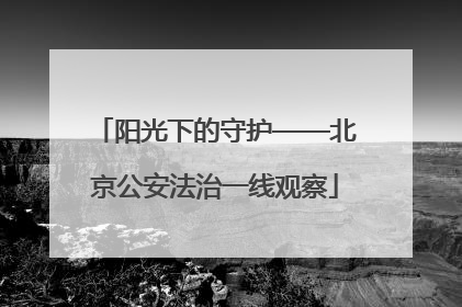 阳光下的守护——北京公安法治一线观察