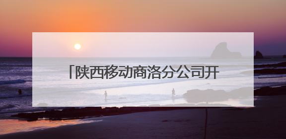陕西移动商洛分公司开展“民有所呼 我必有应”暨总经理接待日活动