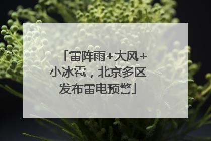 雷阵雨+大风+小冰雹，北京多区发布雷电预警