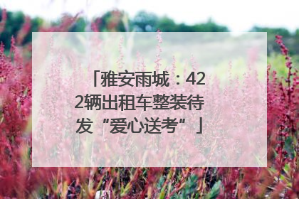 雅安雨城：422辆出租车整装待发“爱心送考”