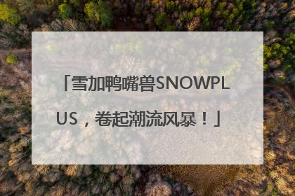 雪加鸭嘴兽SNOWPLUS，卷起潮流风暴！