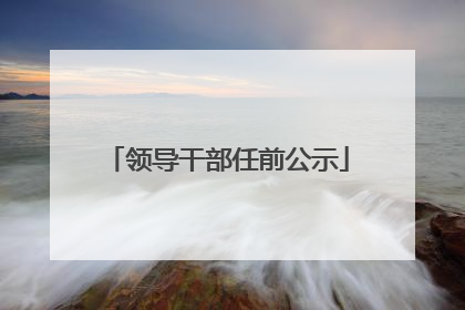 领导干部任前公示