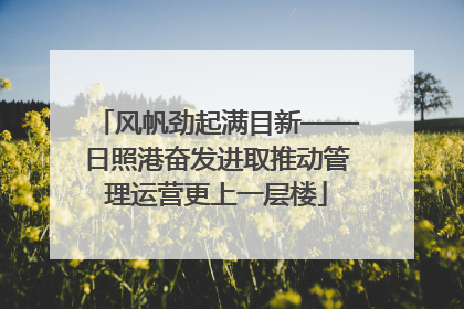 风帆劲起满目新——日照港奋发进取推动管理运营更上一层楼